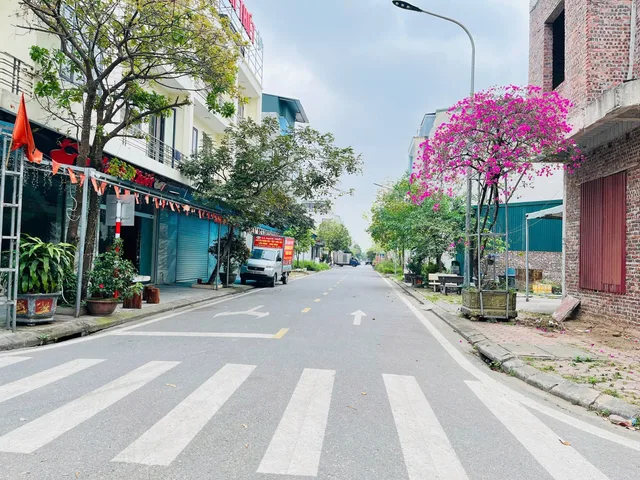 Bất động sản tại Bắc Ninh - ảnh 1