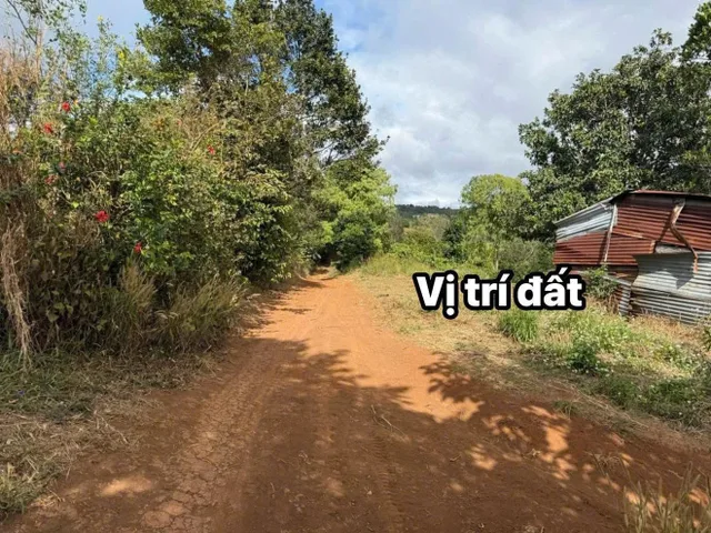 Bất động sản tại Đắk Lắk - ảnh 1