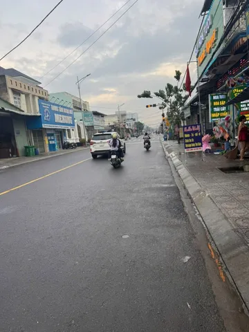 Bất động sản tại Bình Dương - ảnh 1