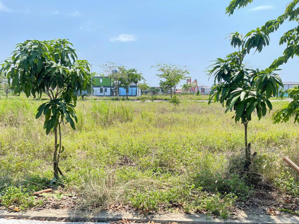 Bất động sản tại Long An - ảnh 1