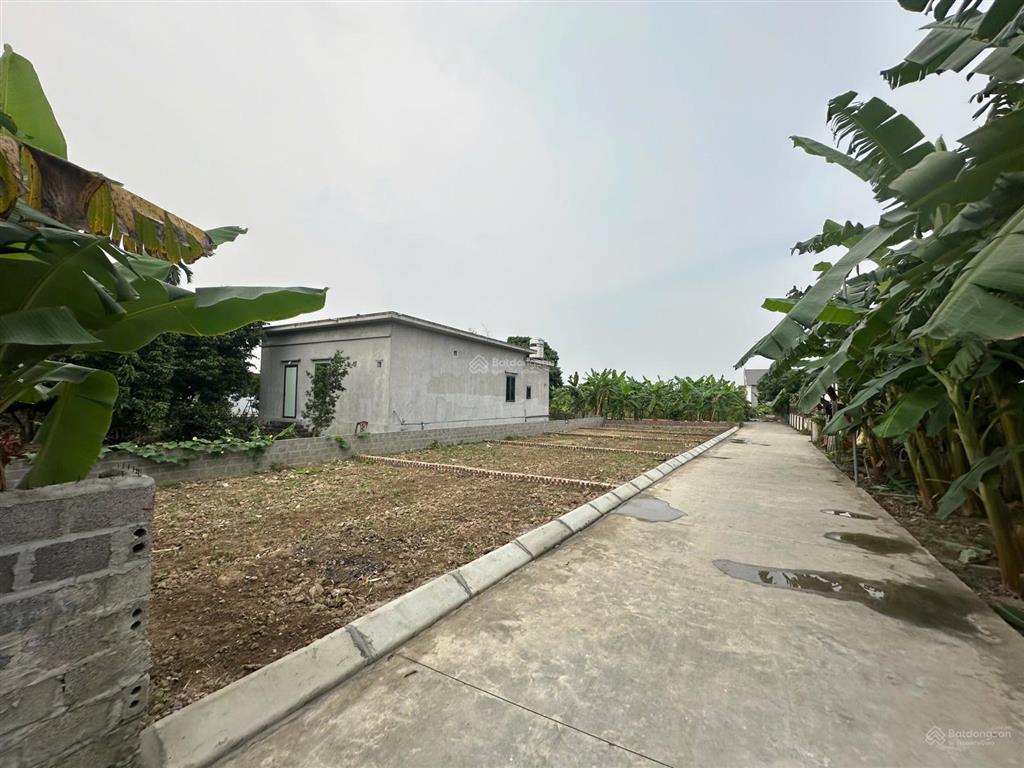 Bất động sản tại Hải Phòng - ảnh 1