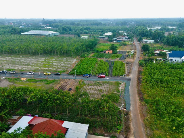 Bất động sản tại Bình Phước - ảnh 1