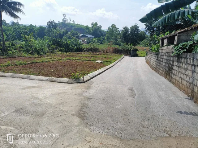 Bất động sản tại Phú Thọ - ảnh 1