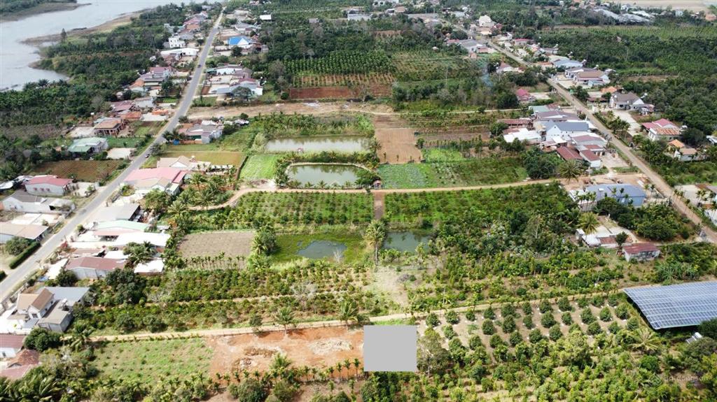 Bất động sản tại Đắk Lắk - ảnh 1