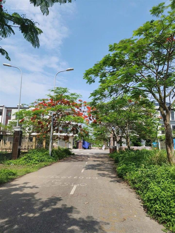 Bất động sản tại Hải Phòng - ảnh 1