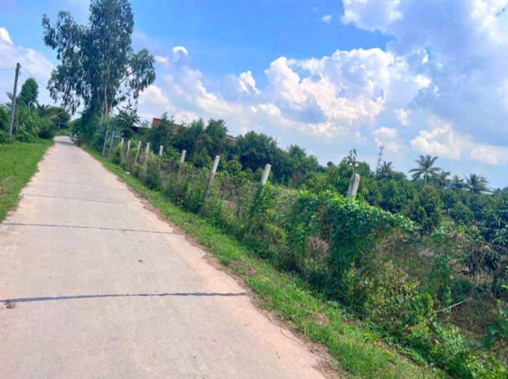 Bất động sản tại Long An - ảnh 1