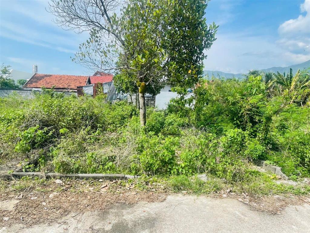 Bất động sản tại Khánh Hòa - ảnh 1