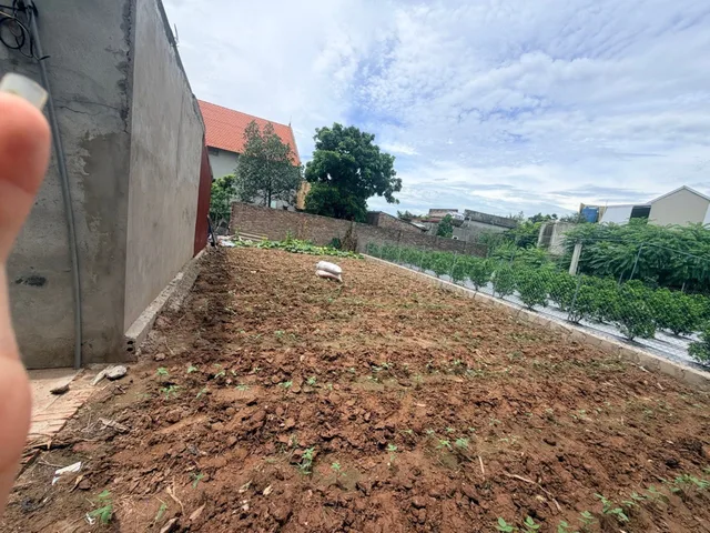 Bất động sản tại Hưng Yên - ảnh 1
