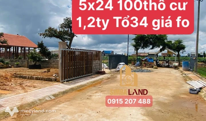 Bất động sản tại Lâm Đồng - ảnh 1