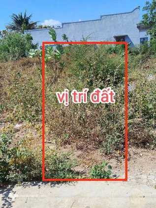 Bất động sản tại Ninh Thuận - ảnh 1