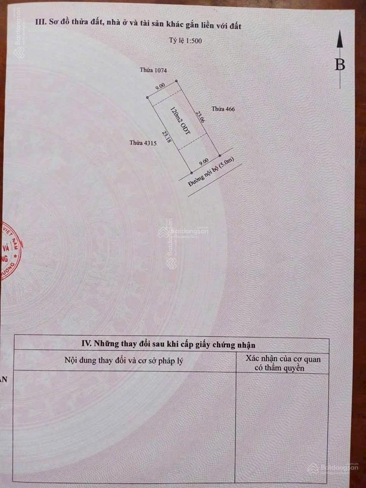 Bất động sản tại Bình Dương - ảnh 1