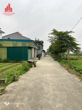 Bất động sản tại Nghệ An - ảnh 1