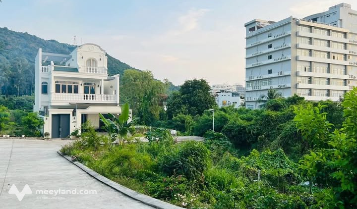 Bất động sản tại Bà Rịa - Vũng Tàu - ảnh 1