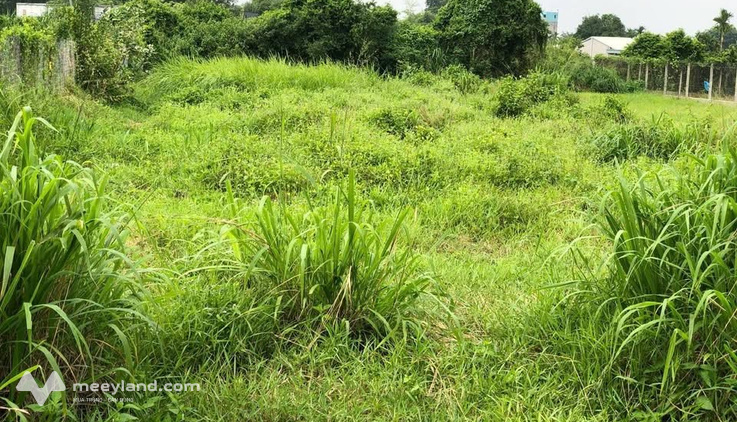 Bất động sản tại Tây Ninh - ảnh 1