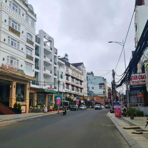 Bất động sản tại Lâm Đồng - ảnh 1