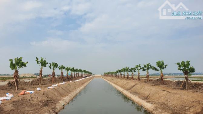 Bất động sản tại Nam Định - ảnh 1