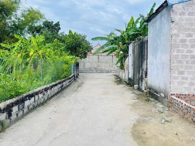 Bất động sản tại Hải Phòng - ảnh 1