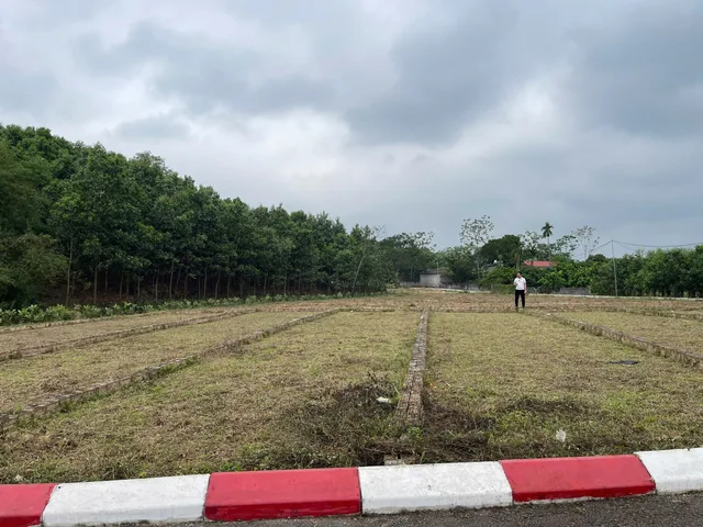 Bất động sản tại Hòa Bình - ảnh 1