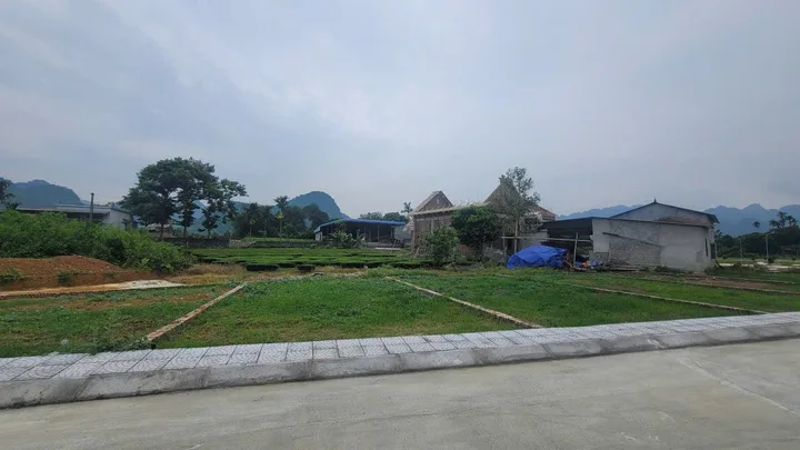 Bất động sản tại Phú Thọ - ảnh 1