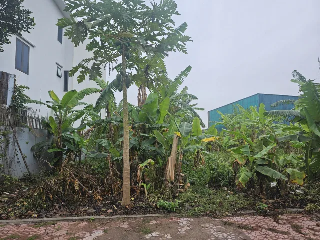 Bất động sản tại Hải Phòng - ảnh 1