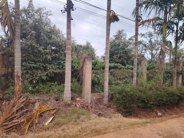 Bất động sản tại Đắk Lắk - ảnh 1