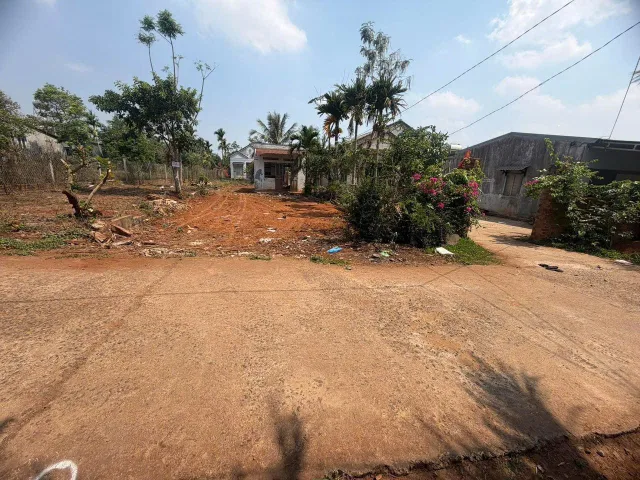 Bất động sản tại Đắk Lắk - ảnh 1