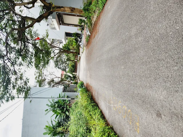 Bất động sản tại Hải Phòng - ảnh 1
