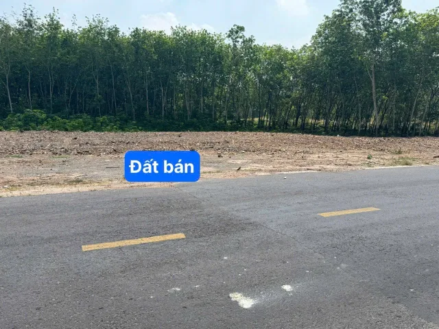 Bất động sản tại Bình Dương - ảnh 1