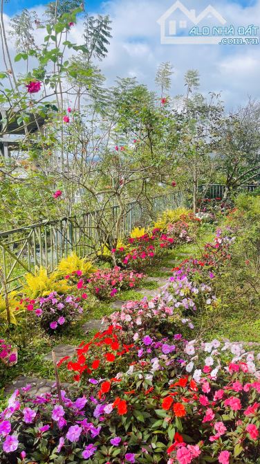 Bất động sản tại Lâm Đồng - ảnh 1