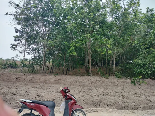 Bất động sản tại Đồng Nai - ảnh 1