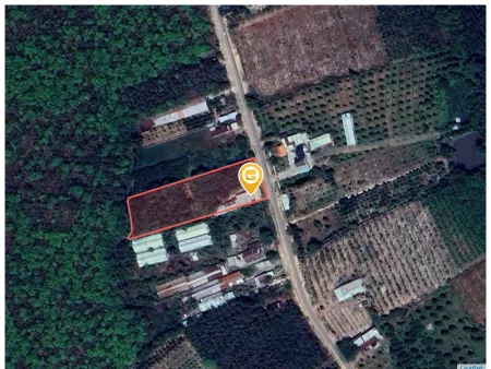 Bất động sản tại Bình Dương - ảnh 1