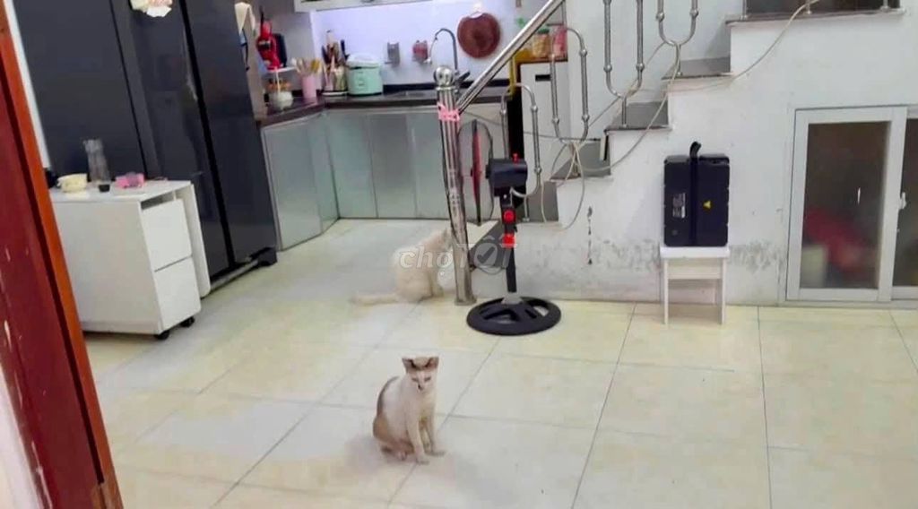 Nhà riêng tại Hai Bà Trưng, Hà Nội - ảnh 1