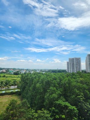 Căn hộ / chung cư tại Thủ Đức, TP. Hồ Chí Minh - ảnh 1