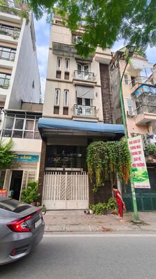 Nhà riêng tại Hoàng Mai, Hà Nội - ảnh 1