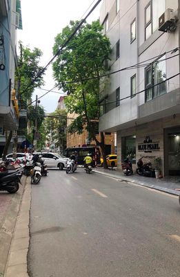 Nhà riêng tại Cầu Giấy, Hà Nội - ảnh 1