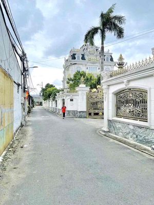 Nhà riêng tại 12, TP. Hồ Chí Minh - ảnh 1