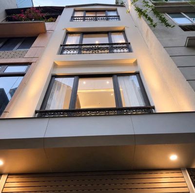Nhà riêng tại Đống Đa, Hà Nội - ảnh 1