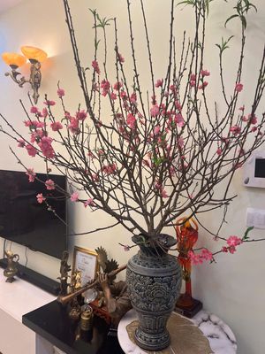 Căn hộ / chung cư tại Phú Nhuận, TP. Hồ Chí Minh - ảnh 1