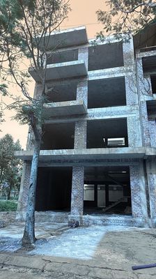 Nhà riêng tại Mê Linh, Hà Nội - ảnh 1
