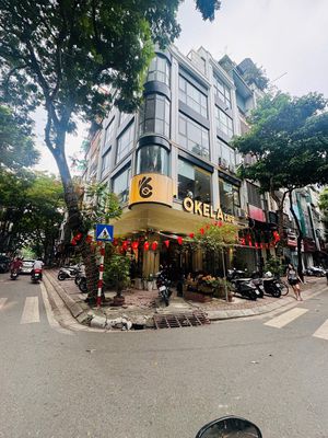 Nhà riêng tại Cầu Giấy, Hà Nội - ảnh 1