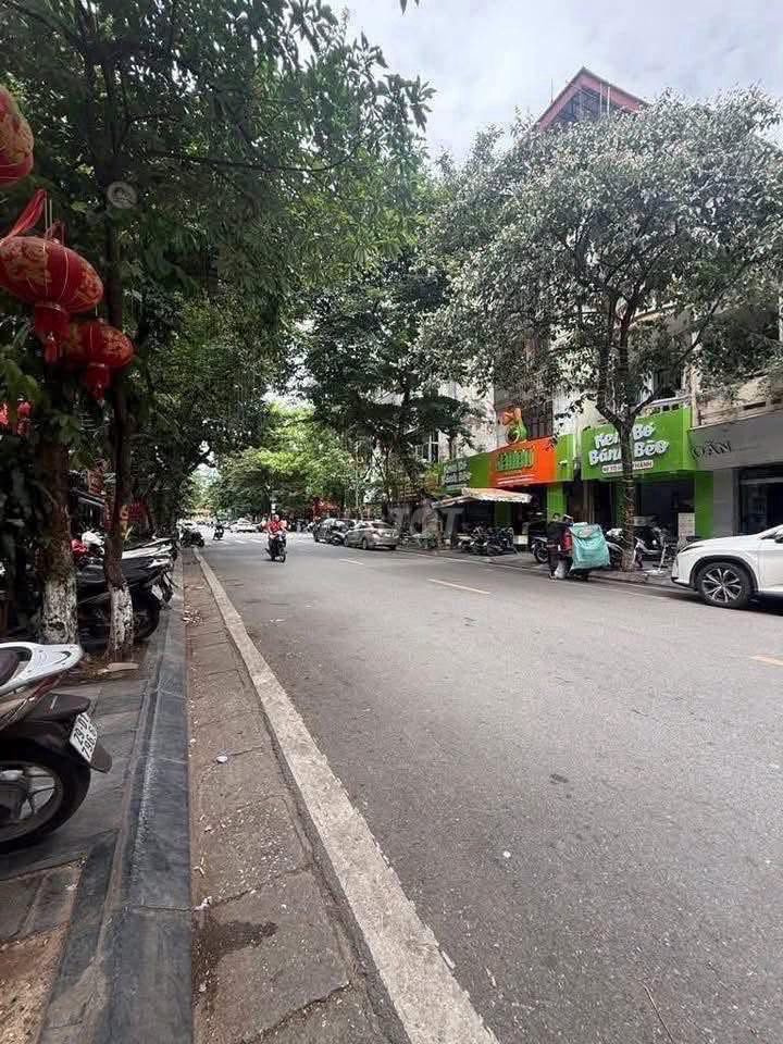Nhà riêng tại Hai Bà Trưng, Hà Nội - ảnh 1