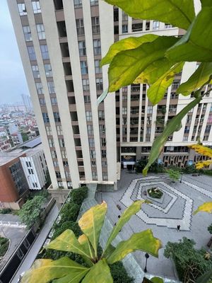 Căn hộ / chung cư tại Cầu Giấy, Hà Nội - ảnh 1