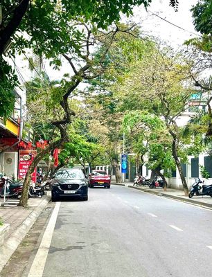Nhà riêng tại Đống Đa, Hà Nội - ảnh 1