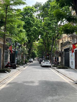 Nhà riêng tại Hoàng Mai, Hà Nội - ảnh 1