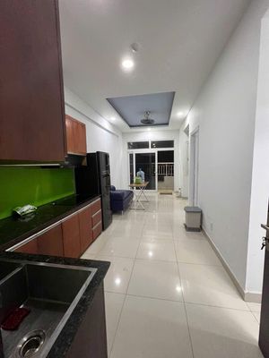 Căn hộ / chung cư tại Tân Phú, TP. Hồ Chí Minh - ảnh 1