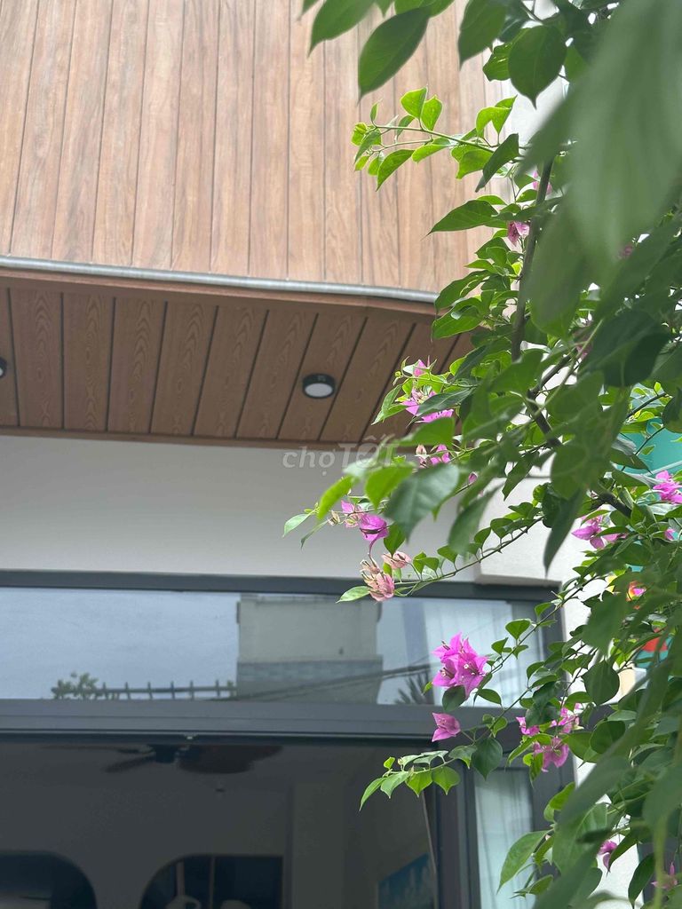 Nhà riêng tại Gò Vấp, TP. Hồ Chí Minh - ảnh 1