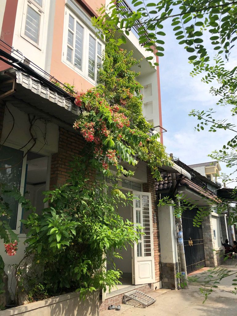 Nhà riêng tại Thủ Đức, TP. Hồ Chí Minh - ảnh 1