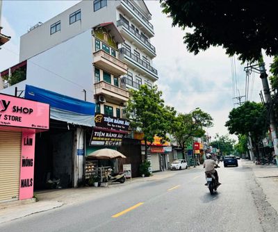 Nhà riêng tại Mê Linh, Hà Nội - ảnh 1
