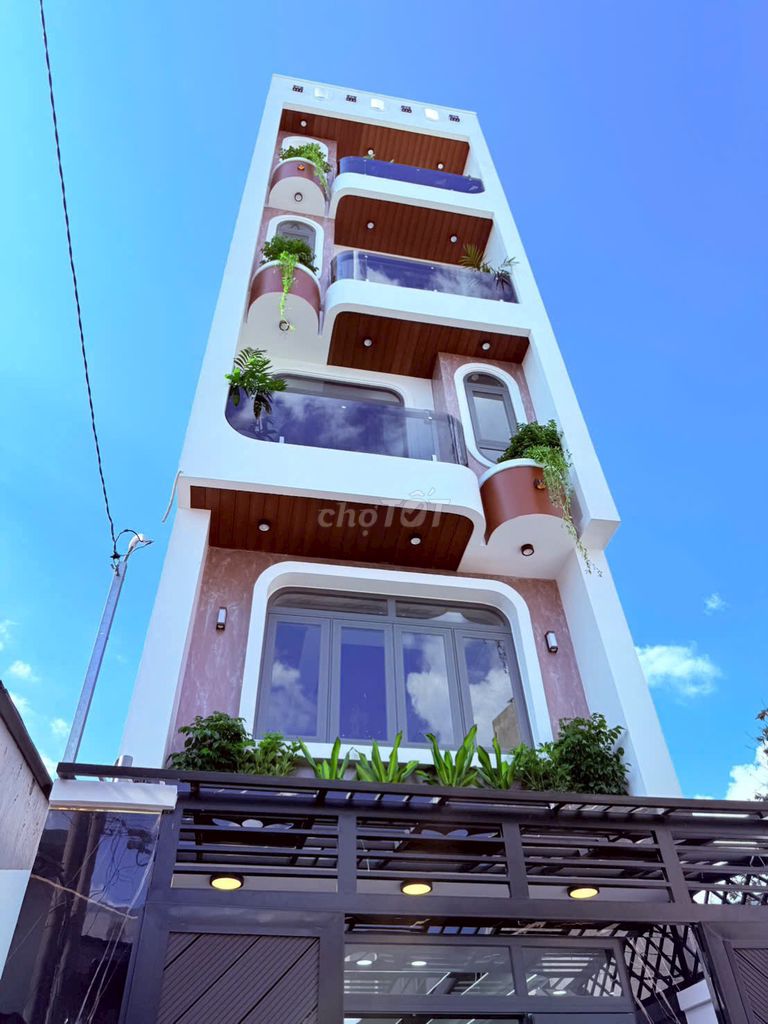 Nhà riêng tại Tân Phú, TP. Hồ Chí Minh - ảnh 1