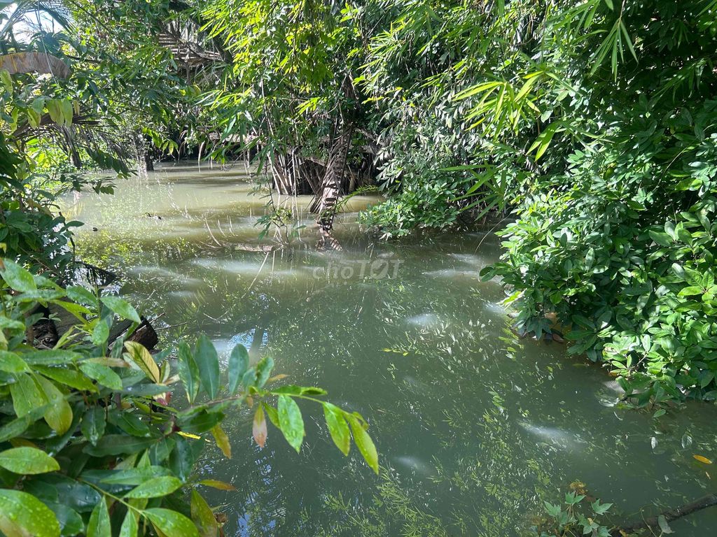 Nhà riêng tại Thủ Đức, TP. Hồ Chí Minh - ảnh 1